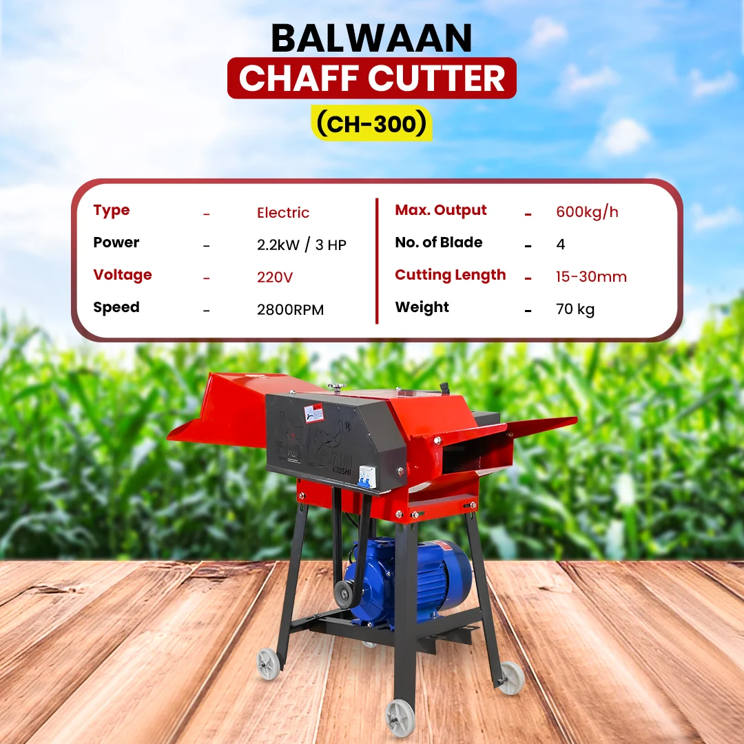 Balwaan-chaff-cutter-with-gear & motor-ch-300-6